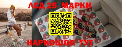 прущие крисы Шелехов