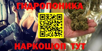 прущие крисы Шелехов